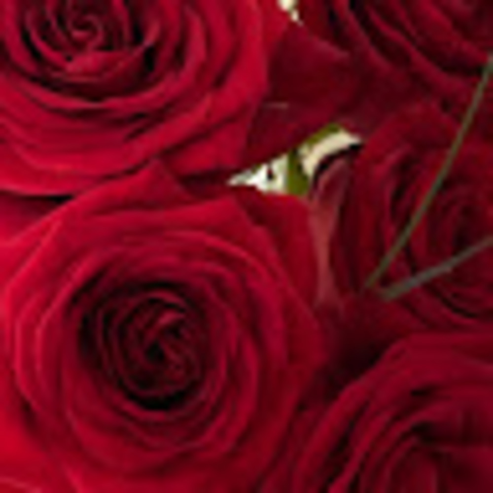 Meet your Posher, Hi